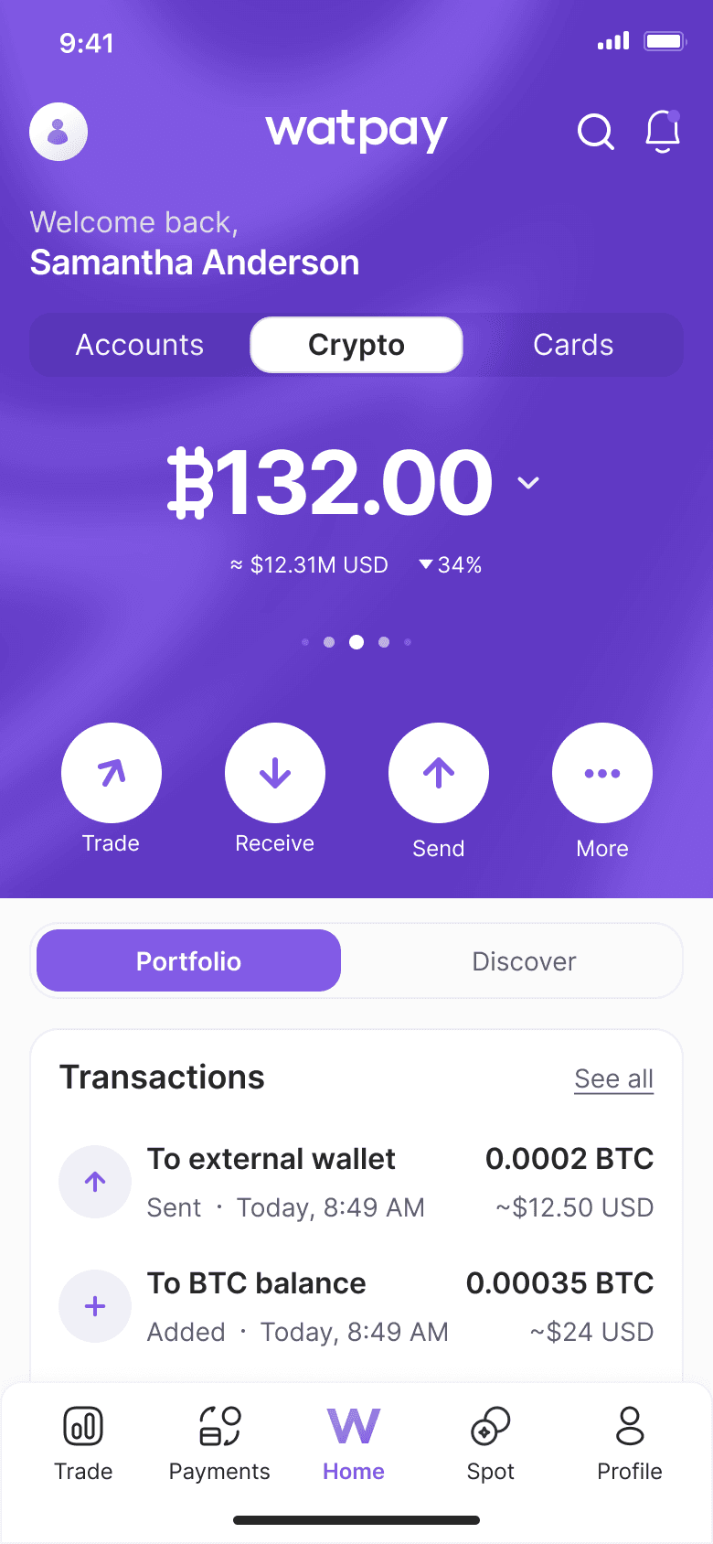 WatPay crypto portfolio — holdings listed as balances beside fiat